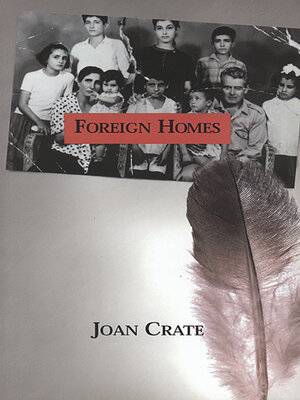cover image of Foreign Homes